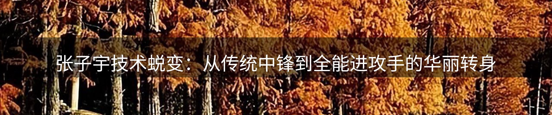 内页banner